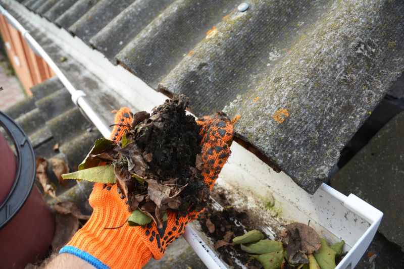 Clearing Gutters of Debris