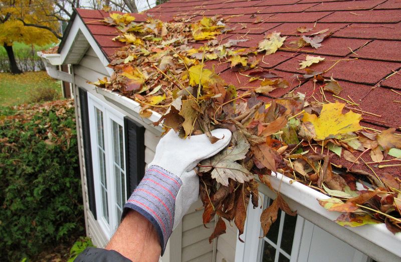 Timing for Gutter Services